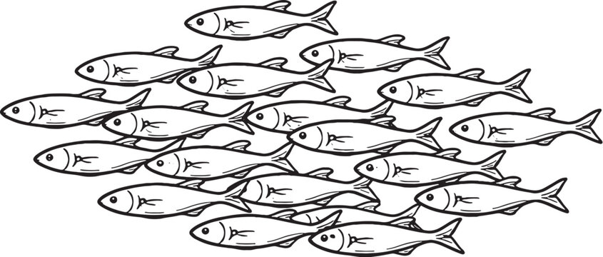 School of fish group swimming line art marine fish outline vector illustration underwater fish swarm isolated on white