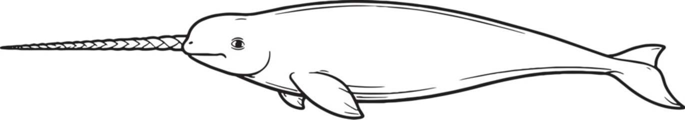 Narwhal Swimming Side View With Tusk Clean Black And White Line Art Marine Mammal Illustration © Nguyen