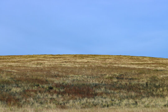 View of high Andean meadows with abundant natural ichu grass
