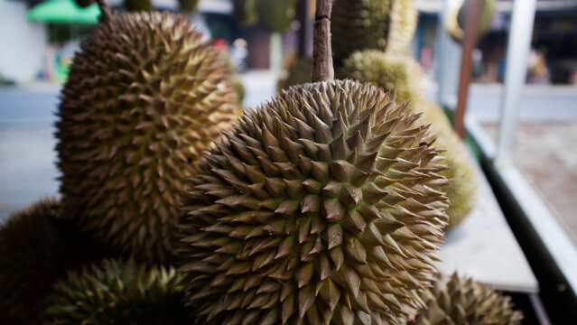 Durian is a tropical fruit nicknamed the "King of Fruit" because of its rich, sweet, and rich taste, and its crown-like thorny skin.