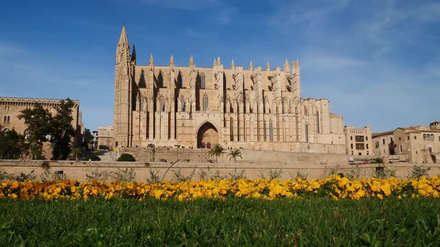 Cathedral-Basilica of Santa Maria of Mallorca with a flowerbed in the foreground. Palma de Mallorca, Spain