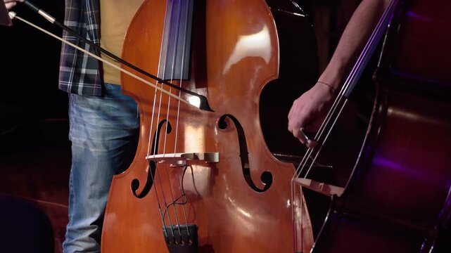 Musicians play double bass in orchestra, cinematic close up on instruments