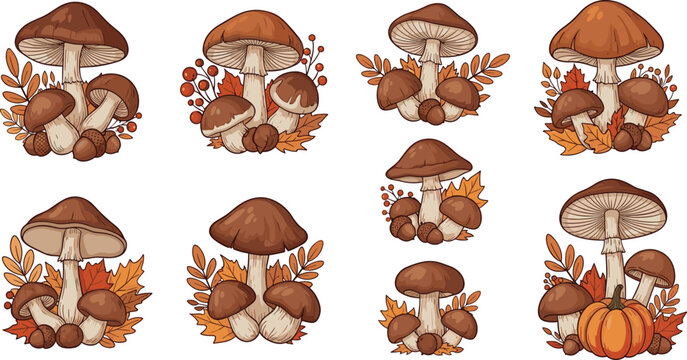 Autumn Mushroom Vector Set with Forest Fungi Leaves Acorns and Seasonal Botanical Nature Illustration Collection