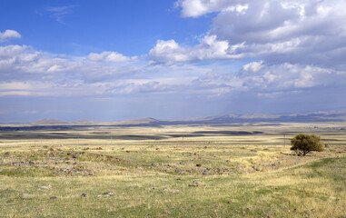 Obraz premium A wide-angle landscape view of the vast, rolling grassy plains and distant hills near the ancient site of Ani in the Kars Province of eastern Turkey under a bright blue sky with scattered clouds