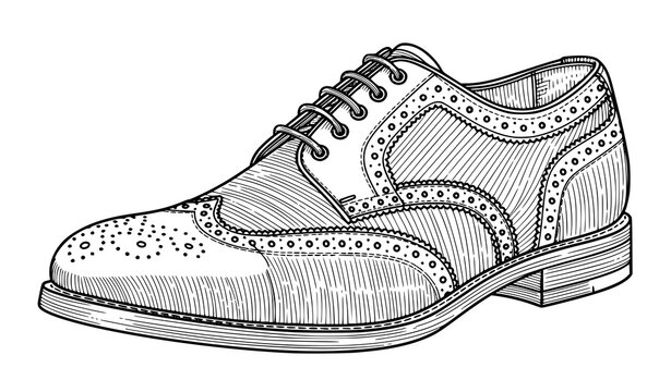 A detailed illustration of a brogue dress shoe with intricate designs and patterns