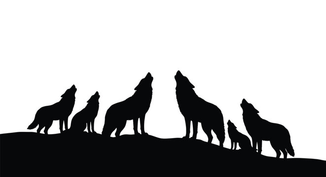 A pack of wolves howling at the moon dramatic silhouette