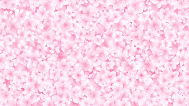 画面いっぱいに広がる鮮やかなピンクの桜の花のパターン背景