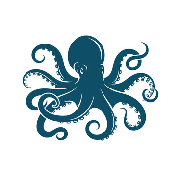 Teal octopus illustration with curled tentacles on white background