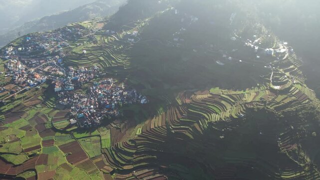 Aerial view of Kodaikanal Nature background green environment -Tea Garden, Tamilnadu