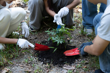 Fototapeta premium Group of Asian people planting seedling in forest