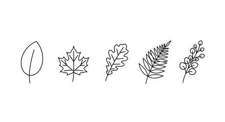 Simple botanical illustration featuring various leaf and branch outlines © Nasima