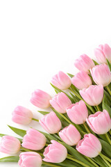 Fototapeta premium Pink tulips bouquet on white background