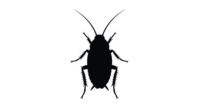 A stark black silhouette of a cockroach against a white background silhouette