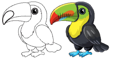 Fototapeta premium Cute Cartoon Toucan Illustration in Color and Line Art Versions