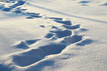 Fototapeta premium Fresh Footprints in Sparkling Snow on a Sunlit Winter Day