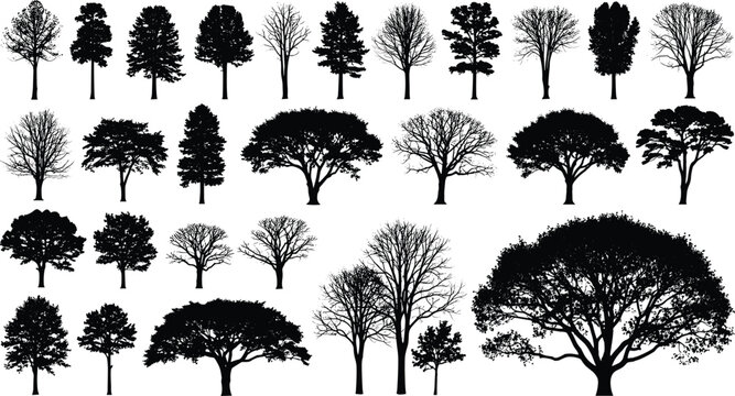Large collection of black tree silhouettes featuring diverse species, including deciduous oak, evergreen pine, winter bare branches, and sprawling canopy trees for landscape design and architecture.