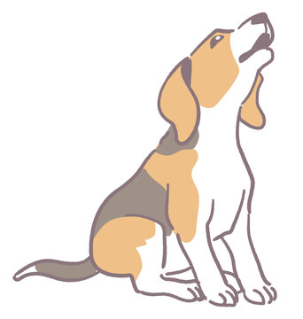 犬、吠えるビーグルのイラスト素材。ベクターイラスト素材。