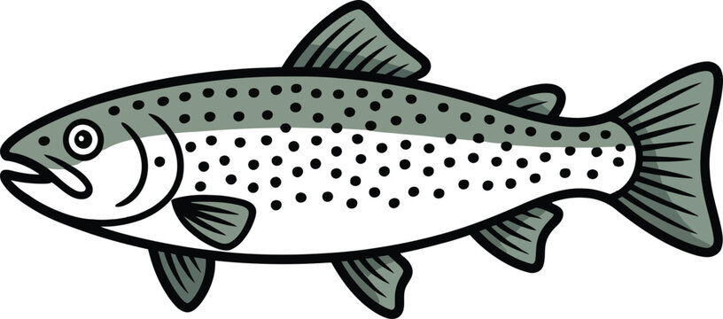Cute trout fish vector illustration. Friendly rainbow trout cartoon character isolated on white background for kids' education, fishing theme, and river life graphics.