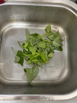 Vegetable in the wash (rau khoai)