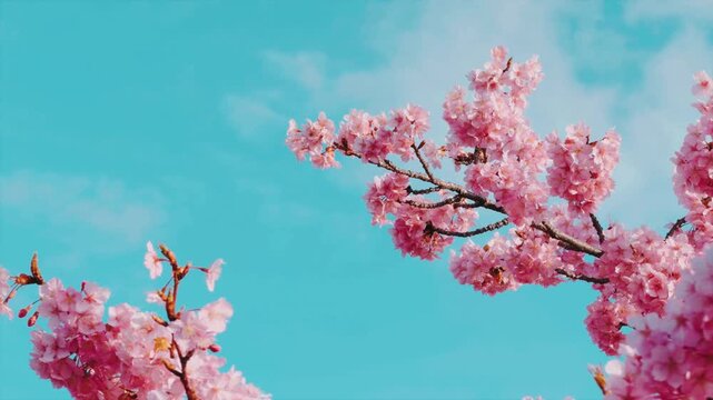 春景色」の写真素材 | 19,435件の無料イラスト画像 | Adobe Stock