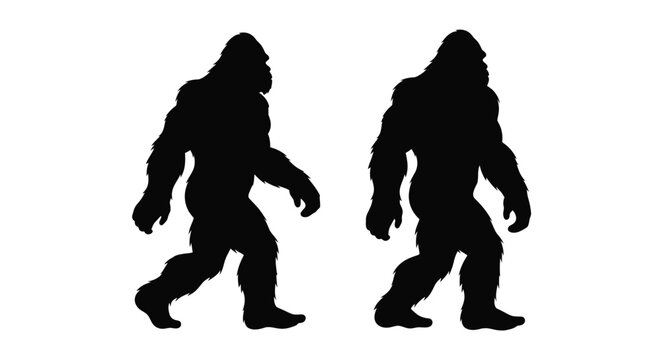 Two bigfoot creatures standing upright a dark shadow silhouette