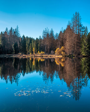 Kleiner Waldsee am Rennsteig im Th&uuml;ringer Wald, Th&uuml;ringen, Deutschland