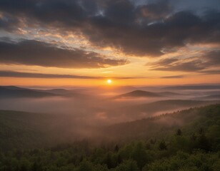 Fototapeta premium Golden Hour Over Misty Forest