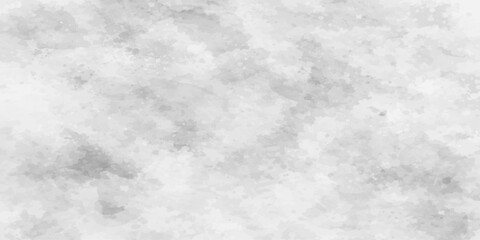 Fototapeta premium Abstract monochrome watercolor cloud-like background, capturing soft textures and gradients.