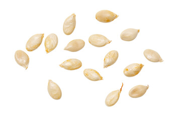Obraz premium A bunch of white seeds are scattered across a white background