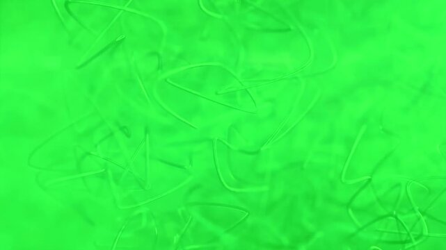Abstract green curved lines moving in fluid motion background