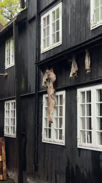 Dried cod stockfish hanging on wooden house facade, traditional Faroese food preservation
