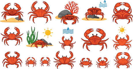 Crab Vector Set Featuring Different Poses and Sizes with Ocean Elements Including Coral Rocks Seaweed and Waves in Flat Cartoon Style for Marine Wildlife and Aquarium Designs © monjurul