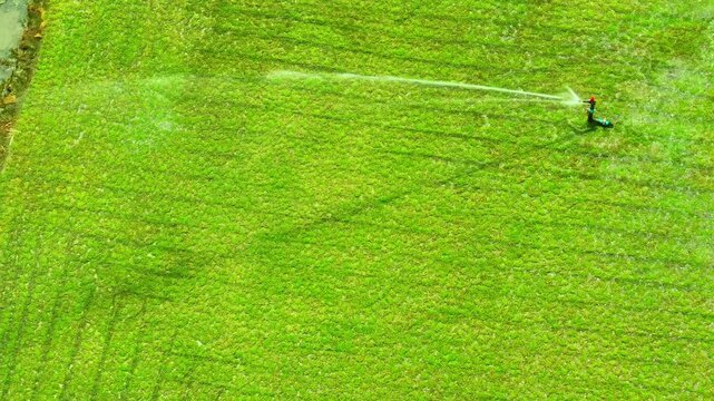 Drone perspective of a green lawn with a sprinkler spraying water, illustrating modern irrigation technology, resource efficiency, and eco-friendly turf maintenance strategies.
