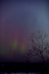 Fototapeta premium Aurora borealis, polar lights with Milky Way stars.