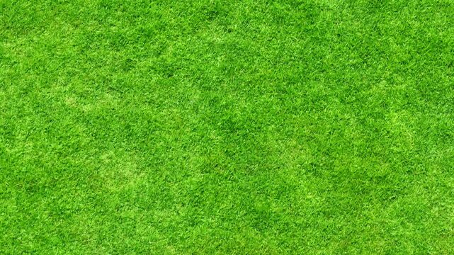 Aerial drone view of a lush green lawn, showcasing dense grass texture, healthy turf coverage, and well-maintained landscaping that reflects sustainable lawn care and consistent maintenance practices.