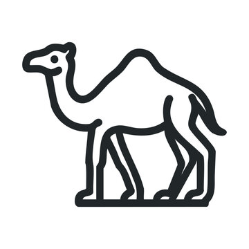 One hump camel icon illustration in minimalist line art style, representing desert animals and Middle Eastern culture for various design projects.