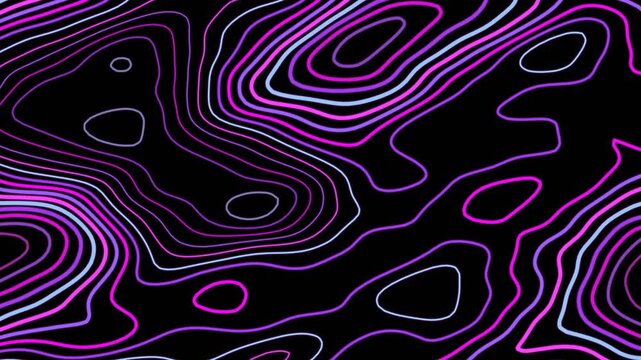 Abstract Topographic Map Lines Animation - Neon Pink and Blue Glow on Black