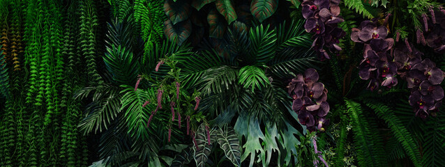 Full Frame of Green Leaves Pattern Background, Nature Lush Foliage Leaf Texture, tropical leaf