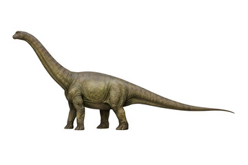 Fototapeta premium 3D rendered sauropod dinosaur with long neck and tail isolated on transparent background
