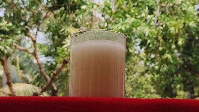 Homemade buttermilk creamy liquid yogurt beverage isolated with natural background. Butter milk traditional indian fermented lactic drink helps digestion, hydratation and cooling in summer.