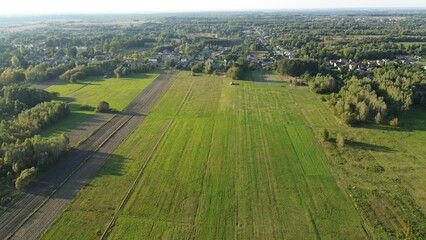Obraz premium Sunny day over agricultural fields and autumn forest