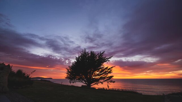 Timelapse of Dramatic Purple and Pink Coastal Sunset with Silhouetted Tree New Zealand