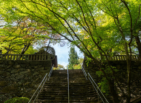 Steep stone stairs surrounded by mountain forest leading to Negoroji, temple number 82 of Shikoku pilgrimage - Takamatsu, Japan