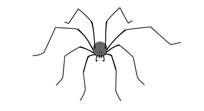 Minimalist illustration of a daddy longlegs spider, featuring an oval body and extraordinarily long, thin legs, against a white background.