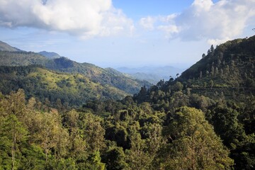 Fototapeta premium Panoramic View of Lush Tropical Highlands, Ella, Sri Lanka
