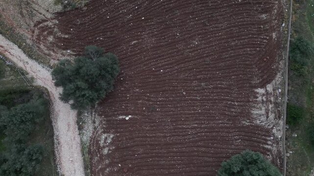 An aerial view of a tilled field with a dirt path winding alongside it, bordered by trees and vegetation.