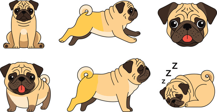 Cute Pug Dog Illustration Set with Funny Cartoon Puppy Poses, Sitting, Running, Sleeping, and Expressions for Pet Design, Animal Lovers, Mascot, and Kids Vector Collection