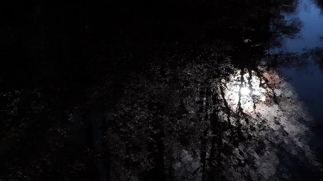 A superb sun reflection on the right part of the cinematic shot on the water's surface, with trees providing a great perspective.