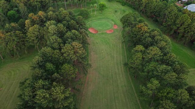Aerial drone view of a golf green with sand bunkers set within a temperate deciduous forest, featuring oak, maple and sweetgum trees, revealing structured fairway design against dense natural woodland