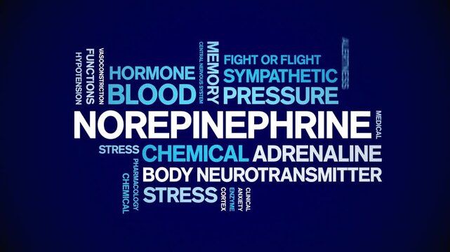 Norepinephrine animated word cloud-text design animation tag kinetic typography seamless loop.